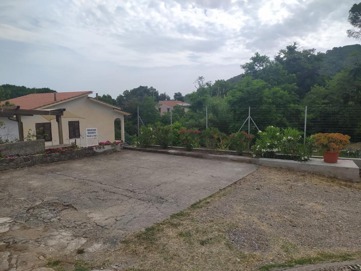 Appartamento Bilocale La Tezia Marciana Marina  Esterno foto