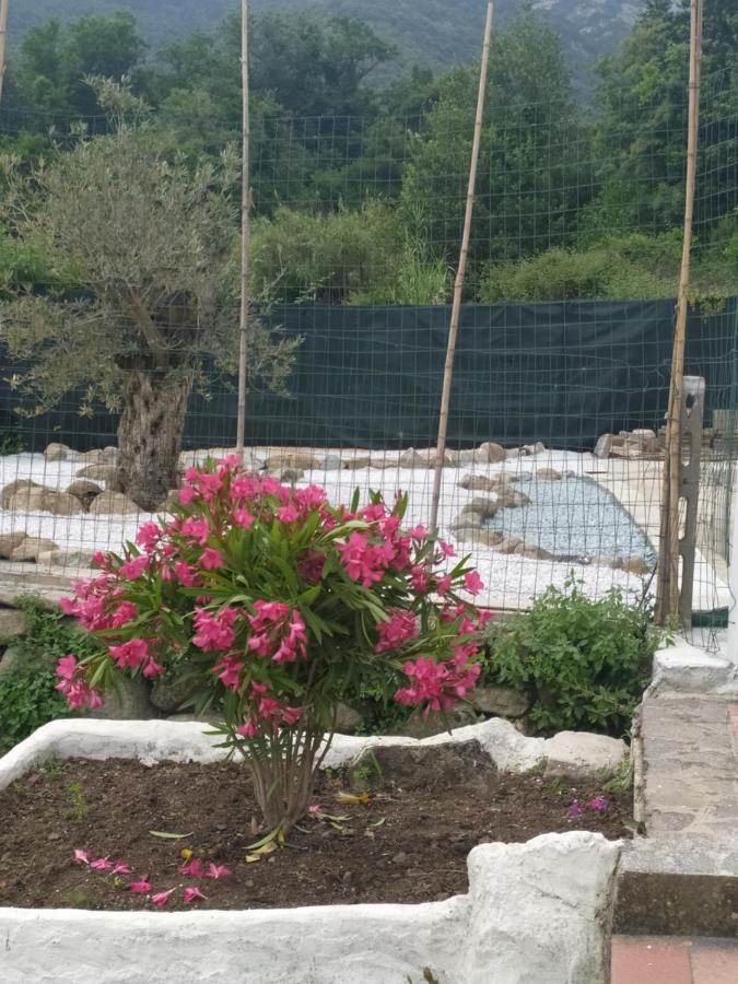 Appartamento Bilocale La Tezia Marciana Marina  Esterno foto